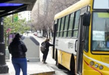 La Plata: deja de ser obligatorio el uso de barbijos en colectivos, comercios y dependencias municipales