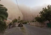San Juan: por el fuerte viento hubo árboles caídos y cortes de luz