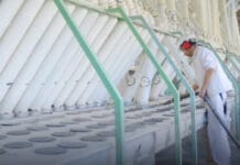 Millonaria multa a entidades molineras por la suba en los precios de la harina