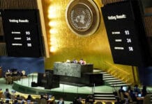 ONU: Argentina fue el único país que votó en contra de una resolución para la protección de mujeres y niñas