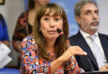 Consejo de la Magistratura: rechazaron el pedido para evitar la designación de Roxana Reyes