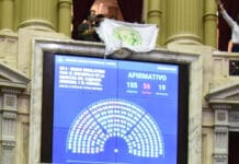 Diputados: aprobaron la ley de cannabis medicinal y cáñamo industrial