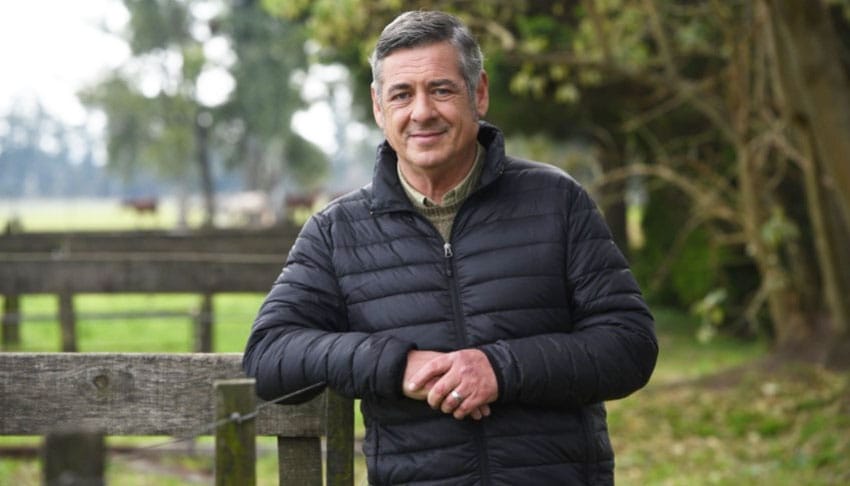 Nicolás-Pino