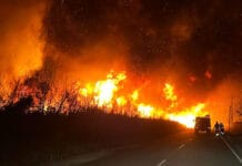 San Juan: incendio en Parque Sarmiento es sofocado por bomberos