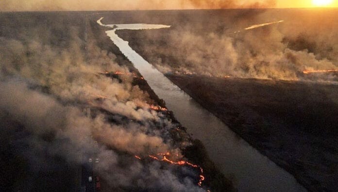 Delta-incendios