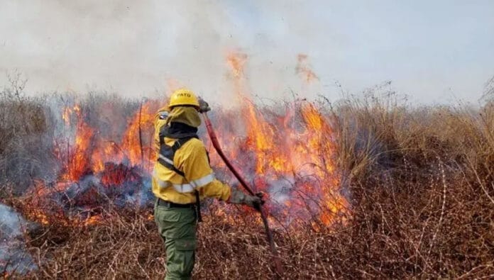 incendio-Delta