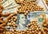 Las empresas agroexportadoras liquidaron U$S2.677.000.000 en mayo