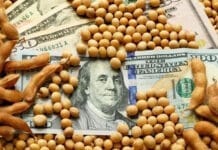 Gobierno nacional recibió a cerealeras y espera obtener U$S7.000.000.000 del campo