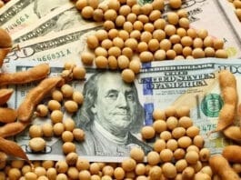 Las empresas agroexportadoras liquidaron U$S2.677.000.000 en mayo