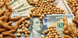 Las empresas agroexportadoras liquidaron U$S2.677.000.000 en mayo