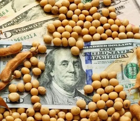 La soja superó los U$S480 y tocó un nuevo récord en más de 2 años