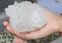 Pidieron a productores afectados por granizo informar la situación al RUPA