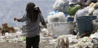 Aseguraron que la pobreza infantil bajó casi 25 puntos desde 2024 y llegó al 41,3%