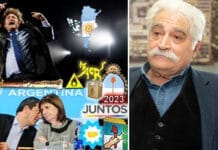 C-Boy, el león que vence a la manada de leones