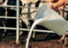 Se desplomó el consumo de leche y crecen los sustitutos lácteos más baratos
