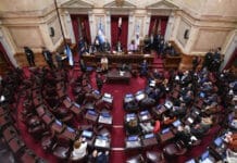 El Senado rechazó los vetos de Milei a la Emergencia Pediátrica y al Financiamiento Universitario