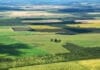 La Corte revocó el fallo que declaraba inconstitucional la derogación de la Ley de Tierras