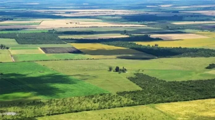 Ley-de-Tierras