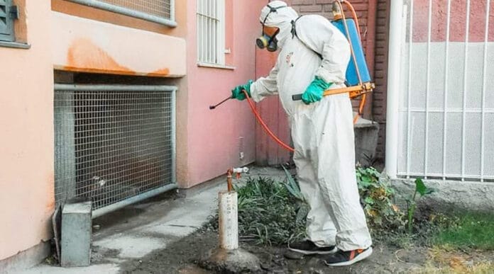 Prevencion-dengue