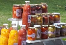 Día del Padre: llega una nueva Feria Agroproductiva a Pocito