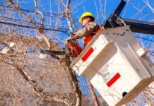 Continúa el operativo de poda en distintos sectores de la Ciudad de San Juan