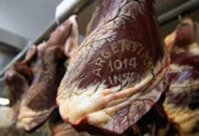 Estados Unidos cuadriplicó la cuota de compra de carne vacuna argentina
