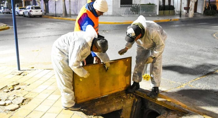 Desratizacion-en-Capital