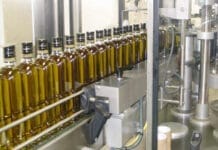 San Juan, capital olivícola de Argentina, será sede del certamen de los mejores aceites del hemisferio sur