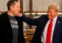 Musk pidió el juicio político a Trump