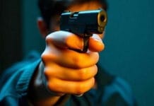 Gobierno nacional oficializó modificaciones en el régimen de armas