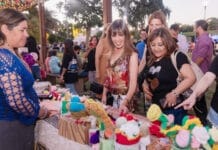 Todo lo que tenés que saber para disfrutar Ciudad de las Cuatro Estaciones en San Juan