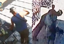 San Juan: un hombre mató a un perro a cuchillazos