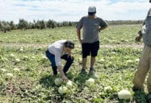 Se realizó un relevamiento de zonas productivas afectadas por el granizo