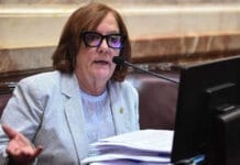 Senado: la suspensión de las PASO obtuvo dictamen y se debatirá en el recinto