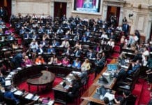 Diputados rechazó vetos a Emergencia Pediátrica y Financiamiento Universitario