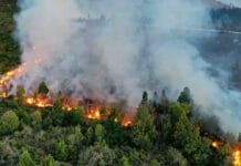 Pidieron que Nación declare emergencia económica por los incendios en la Patagonia