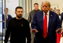 Trump a Zelenski: "Estás jugando con la Tercera Guerra Mundial" Trump y Zelenski