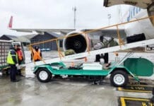 Gobierno nacional oficializó la licitación para privatizar Intercargo y fijó el precio base a ofrecer