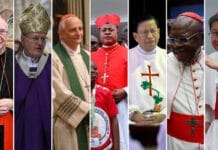 Quiénes son los posibles candidatos a Papa tras la muerte de Francisco