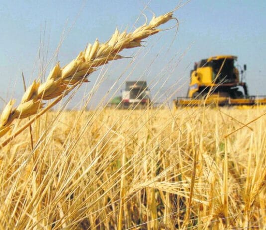 Las exportaciones agroindustriales crecieron 18% y alcanzan un récord histórico en el primer cuatrimestre