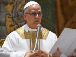 Milei afirmó que es "altamente probable" la visita del Papa León XIV a Argentina