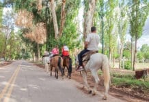 El programa San Juan Capacita en Turismo ofrecerá más de 20 talleres gratuitos
