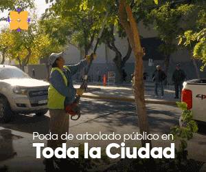 Anuncio: Municipalidad de la Capital de San Juan, obras, información, cultura, turismo y gestión
