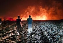 Salta implementó operativos para combatir más de 20 focos de incendios