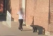 Conmoción en Mendoza: una alumna fue con un arma a la escuela y disparó tres veces