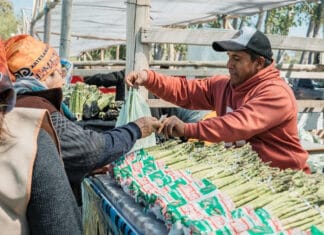 Por el pronóstico de viento Zonda, la Fiesta del Espárrago y el Alcaucil se reprogramó para el 4 de octubre