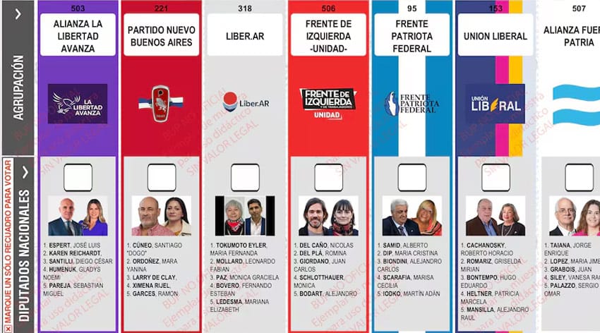 la-libertad-avanza-boletas