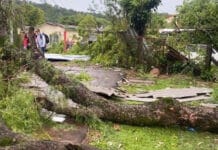 Feroz temporal en Misiones: autos volcados, techos destrozados y árboles caídos