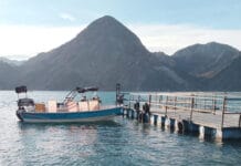 Ambiente lanzó el primer permiso digital de pesca deportiva en San Juan