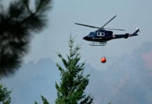 Anunciaron la intervención del Parque Nacional Los Alerces debido a los incendios forestales